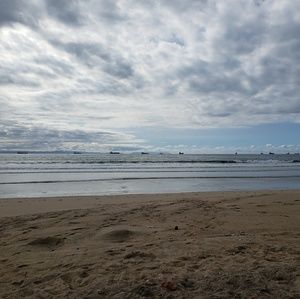 Meet your Posher, Elaine